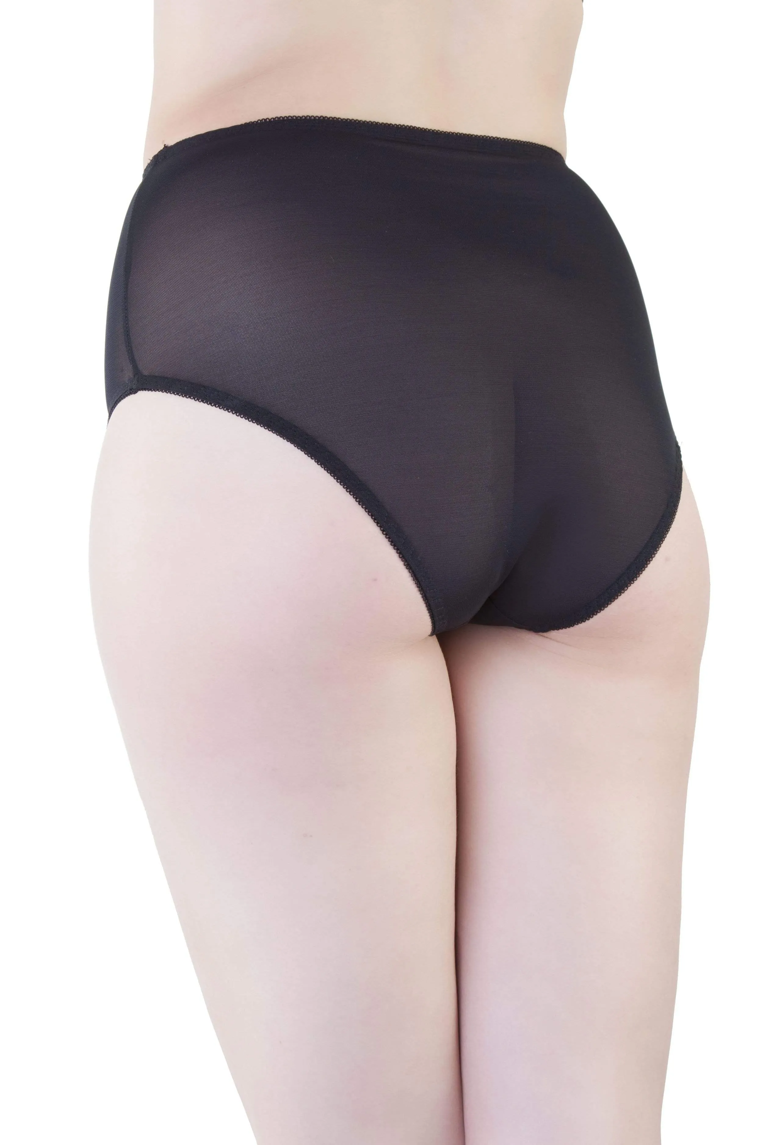 Bettie Page Mesh Classic Brief