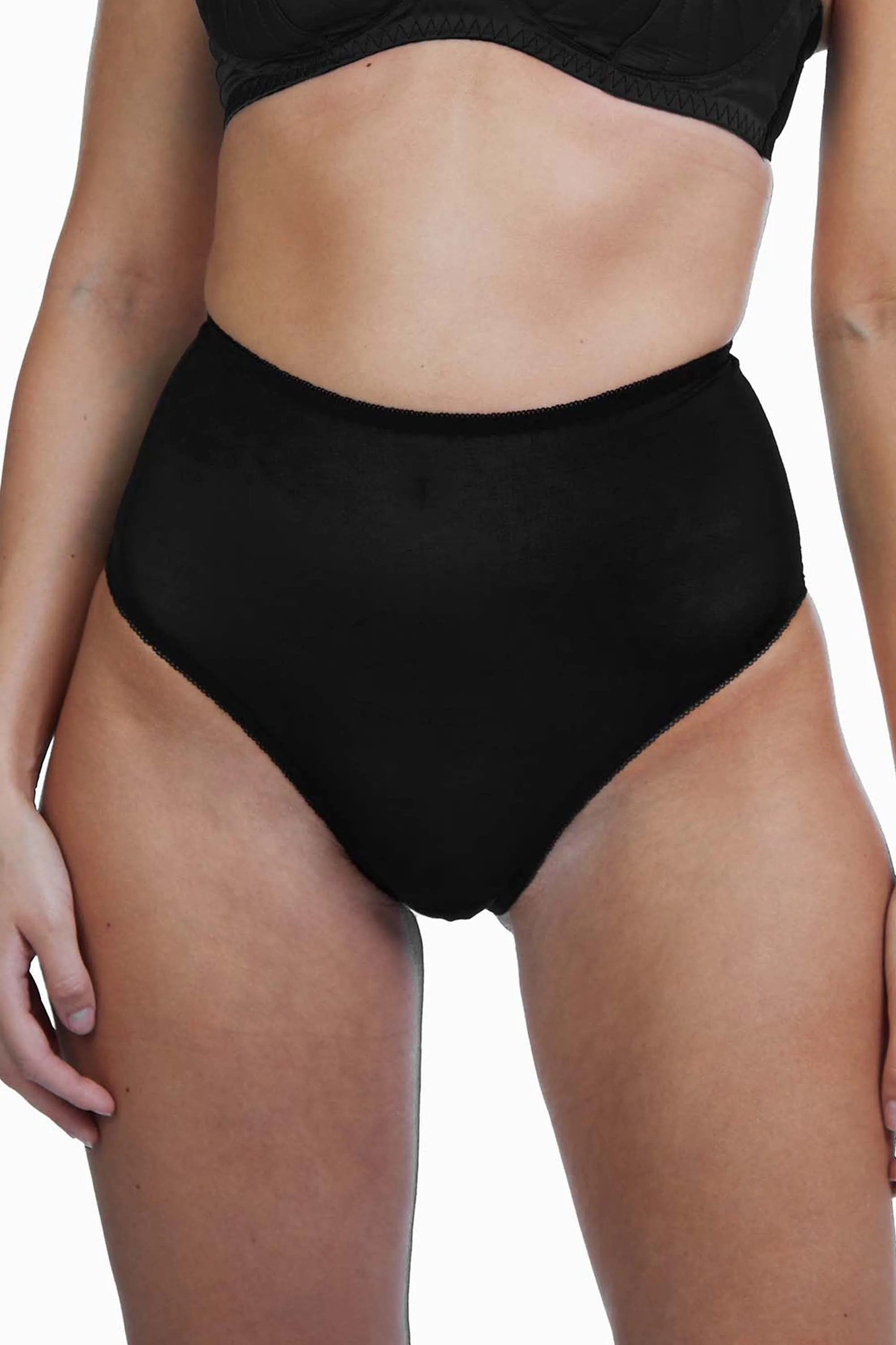 Bettie Page Mesh Classic Brief