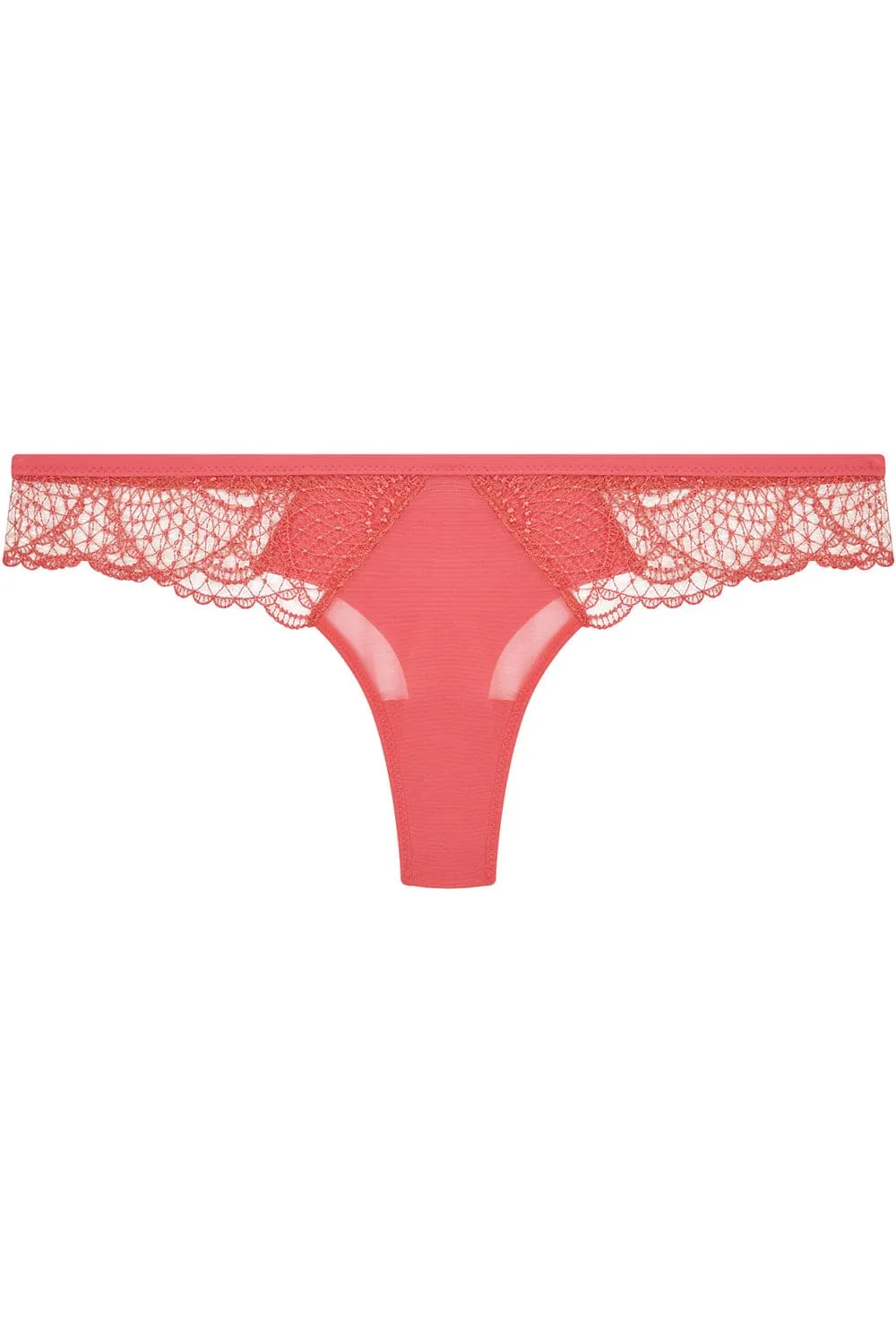 Reflet Tanga, Size 4 (UK 14-16)